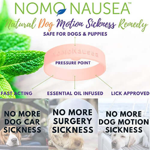 Anti Nausea for Dogs | M-L Dogs & Sick Puppy Band | NoMo Nausea Dog Bracelet - Image 3