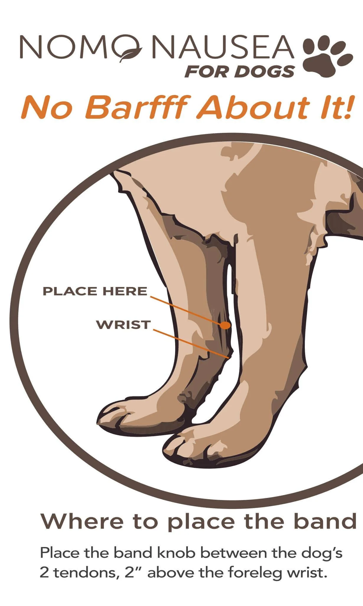 Anti Nausea for Dogs | M-L Dogs & Sick Puppy Band | NoMo Nausea Dog Bracelet - Image 6